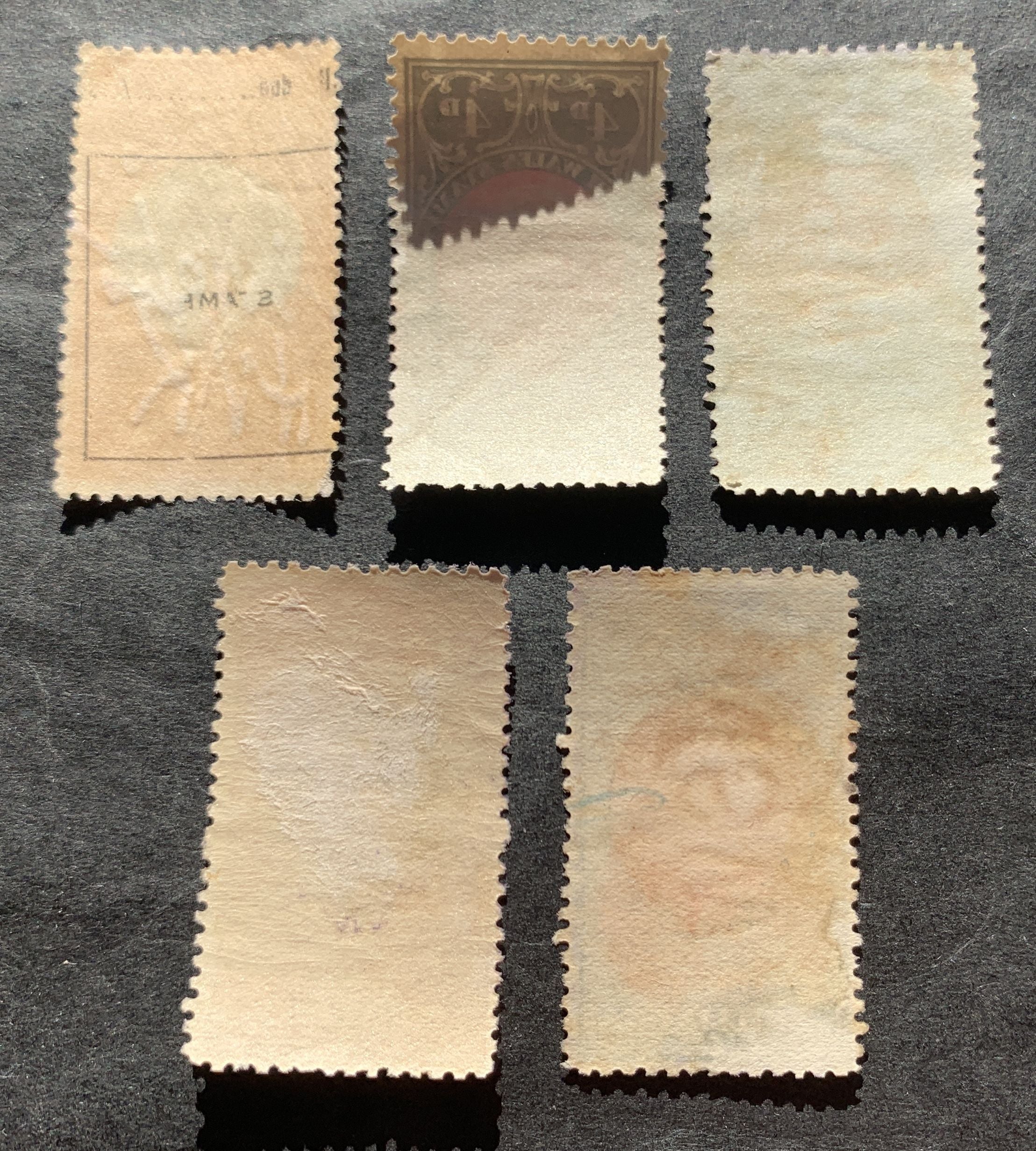 Neu-Süd-Wales Britisch Australien - 5 Steuermarken (Revenue stamps)