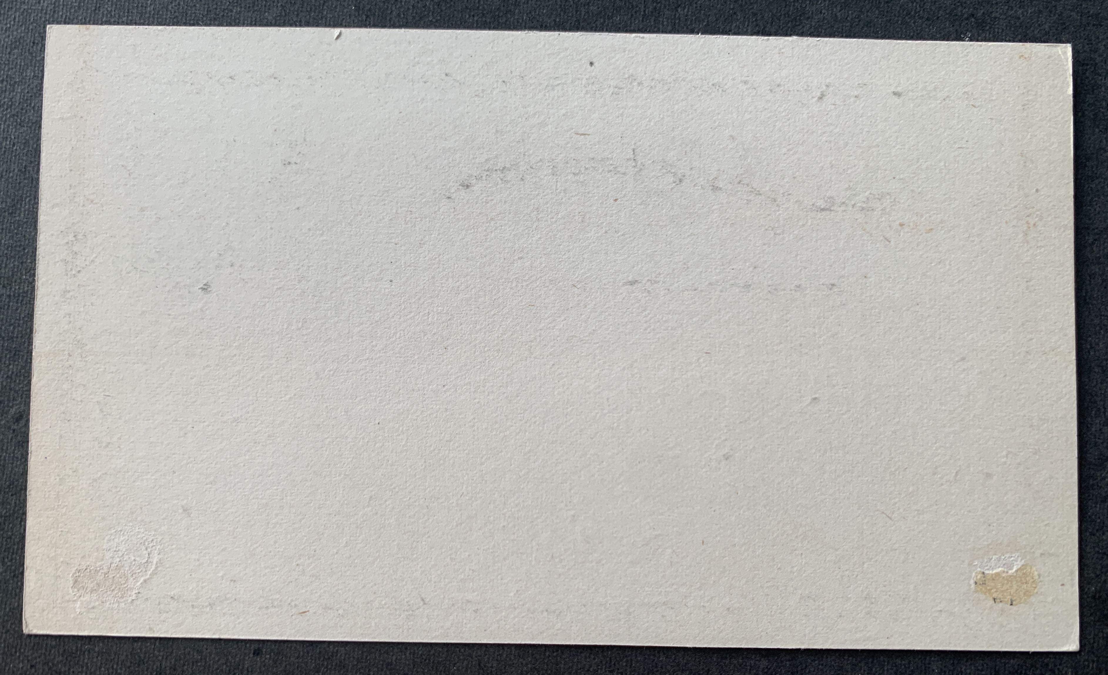 Hawaii Ganzsache 1881 2 Cents schwarz - ungenutzt
